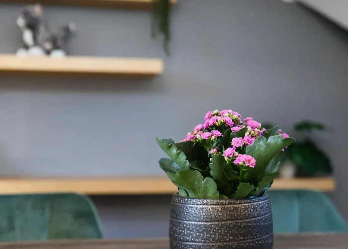 Dresdenstay 3 Schlafzimmer 2 Baeder Balkon Kamin Ps4 Apartment Dresden